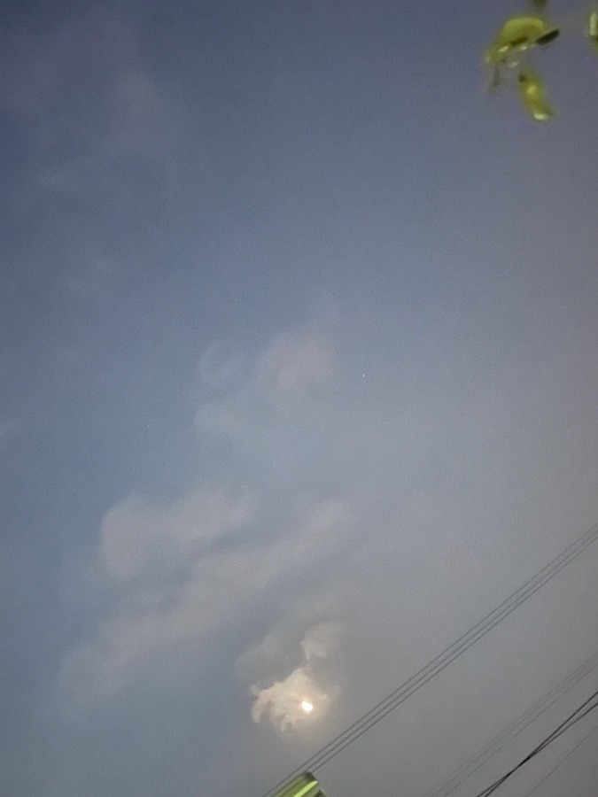 5/24 4時ごろ