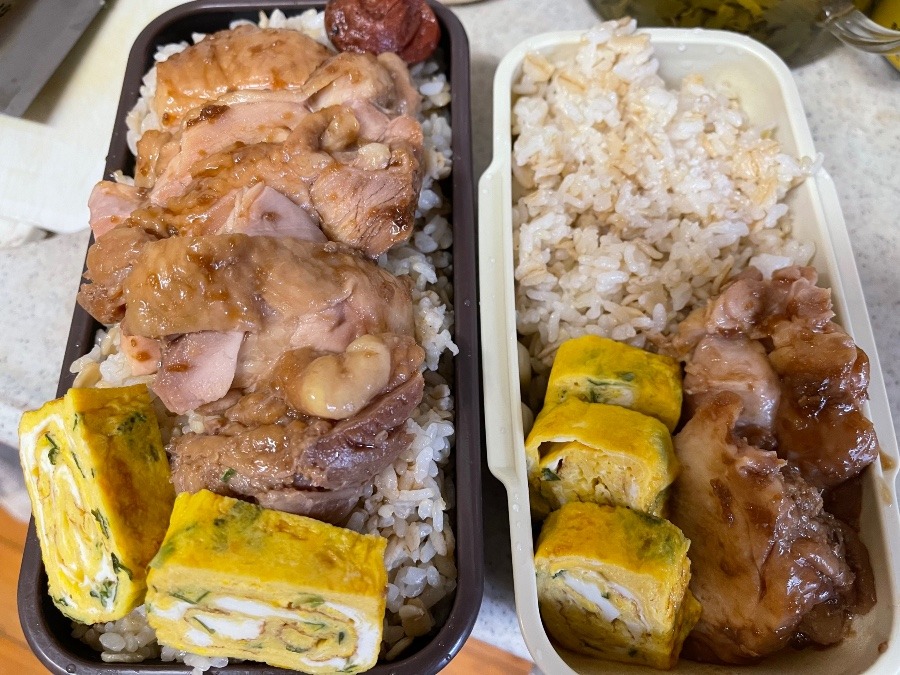 5／17今日の弁当