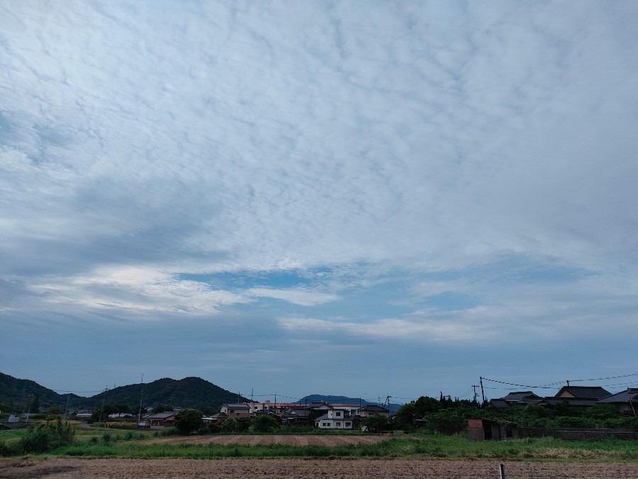 5/15朝空