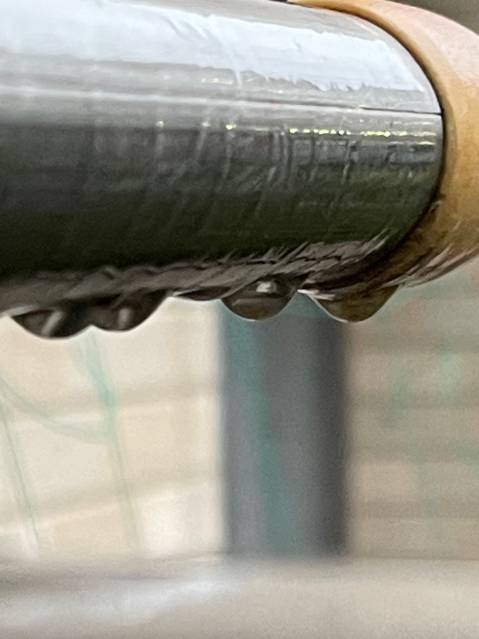雨