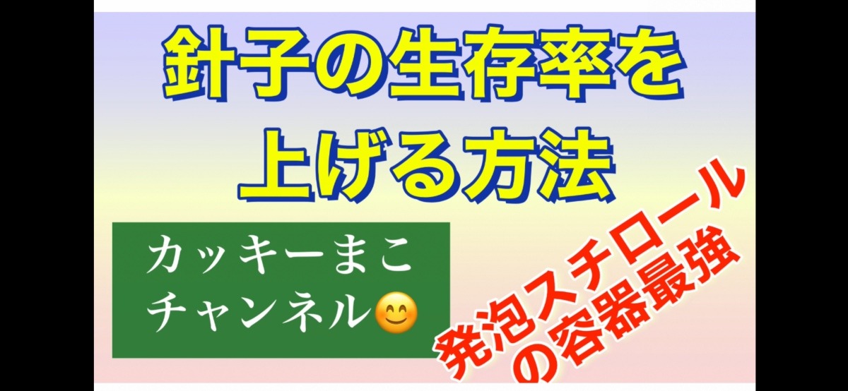 針子の生存率を上げる方法