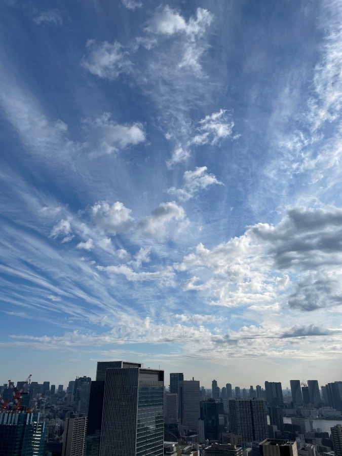 今朝の東京の空