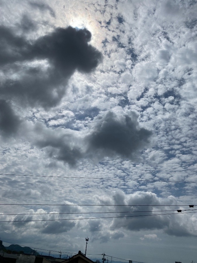 わくわく雲かと思っていたら‼️