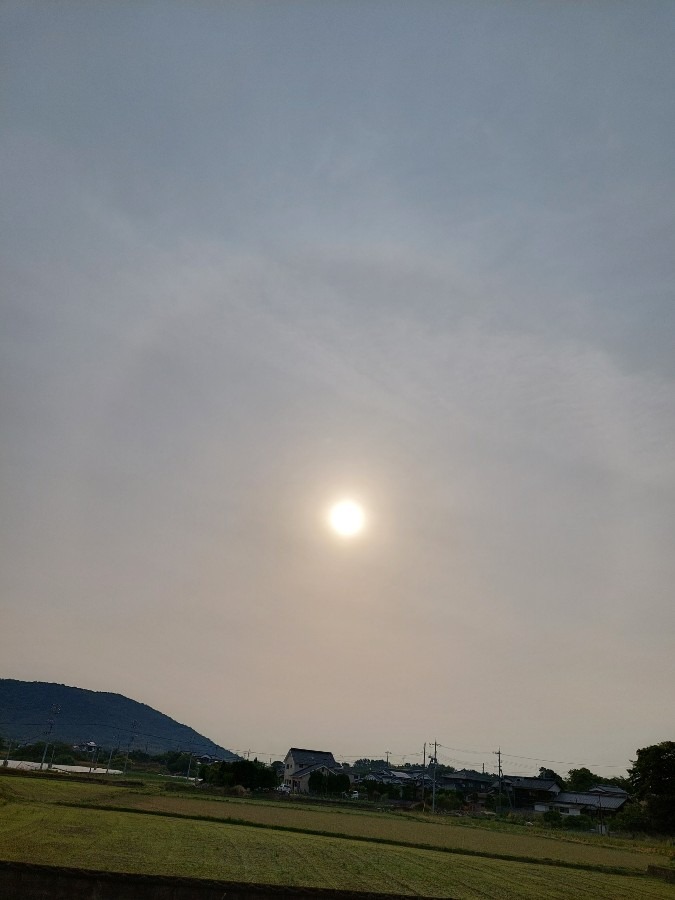 5/19今朝の空