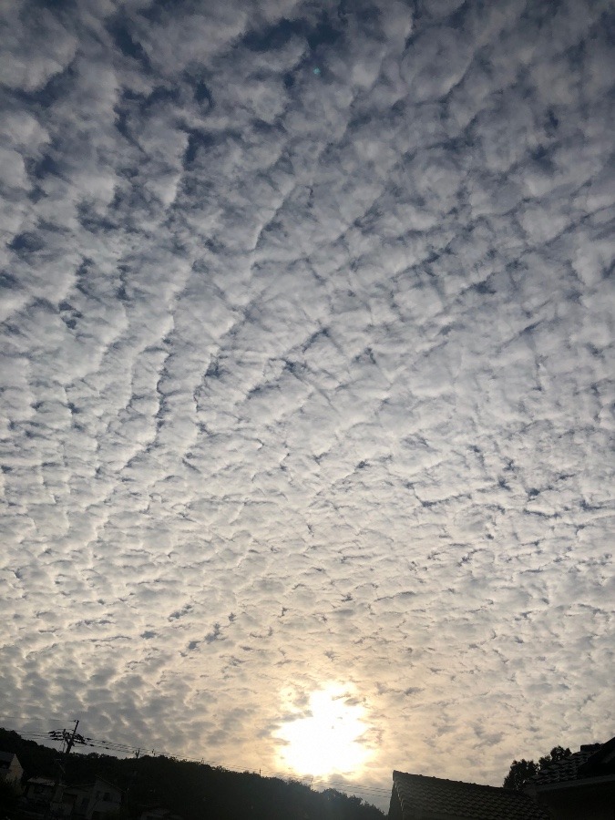 5/16  17:35西の空