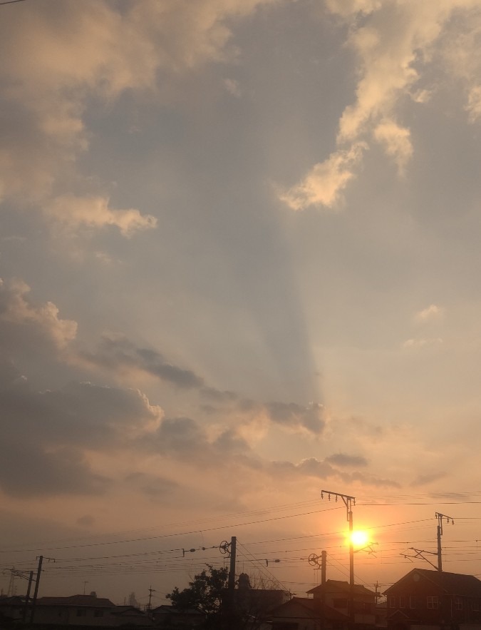 5/31朝空