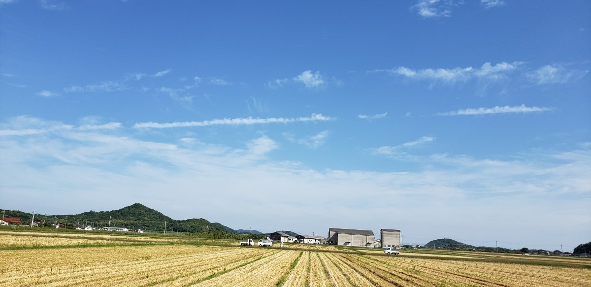 真っ直ぐに⤴️