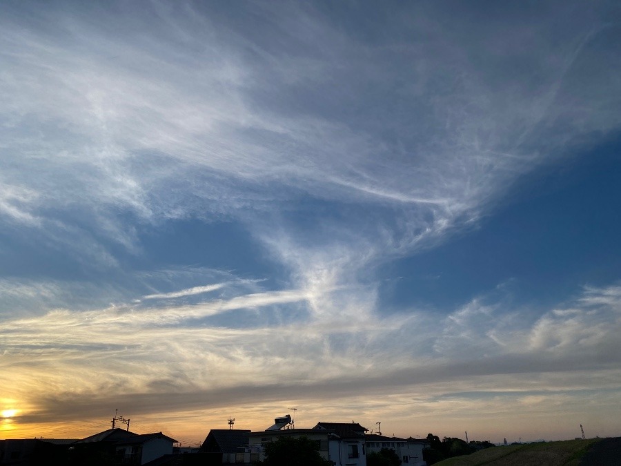 今空②