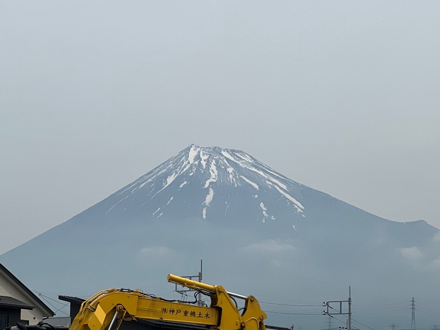 雪溶けました