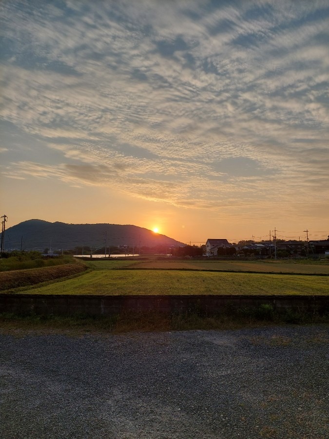 5/24　今日の朝日