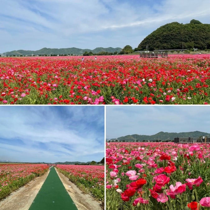 道の駅 笠岡ベイファーム