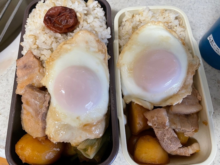 5／16今日の弁当