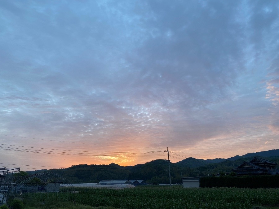 今朝の空