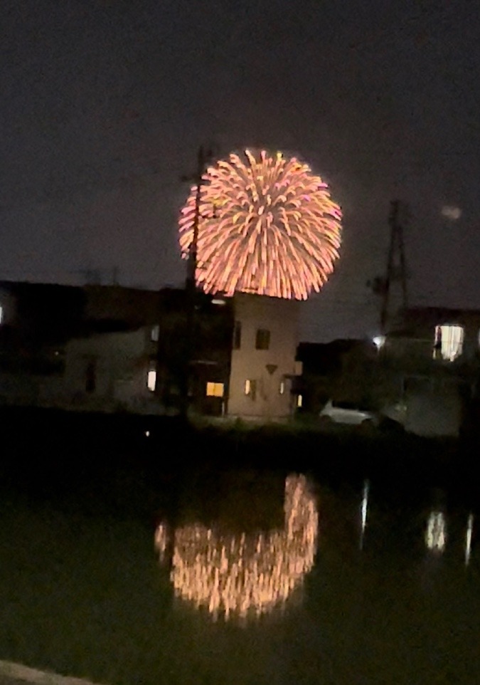 いきなりの花火🎆