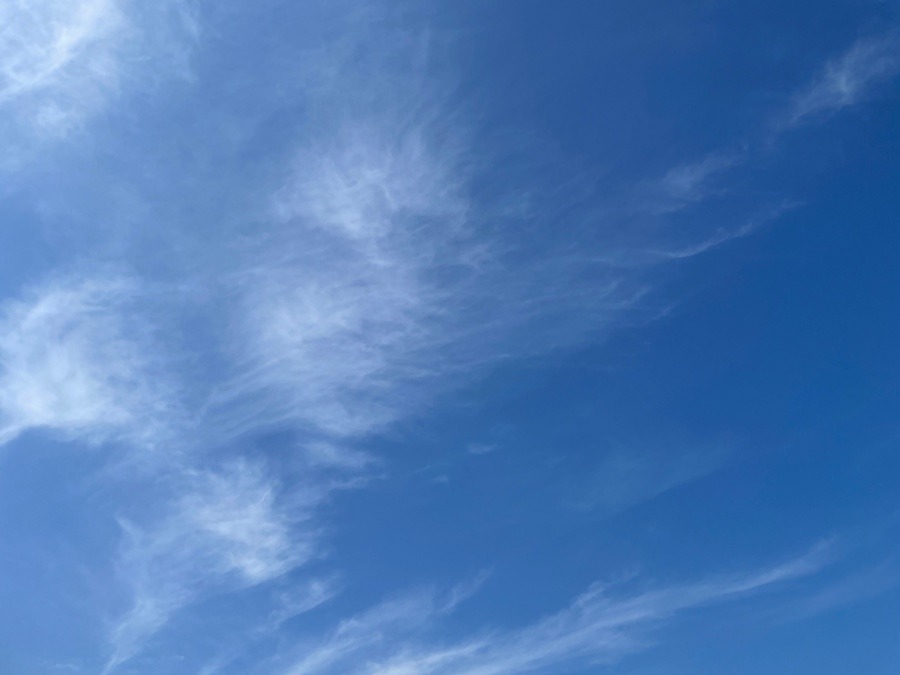 朝の空