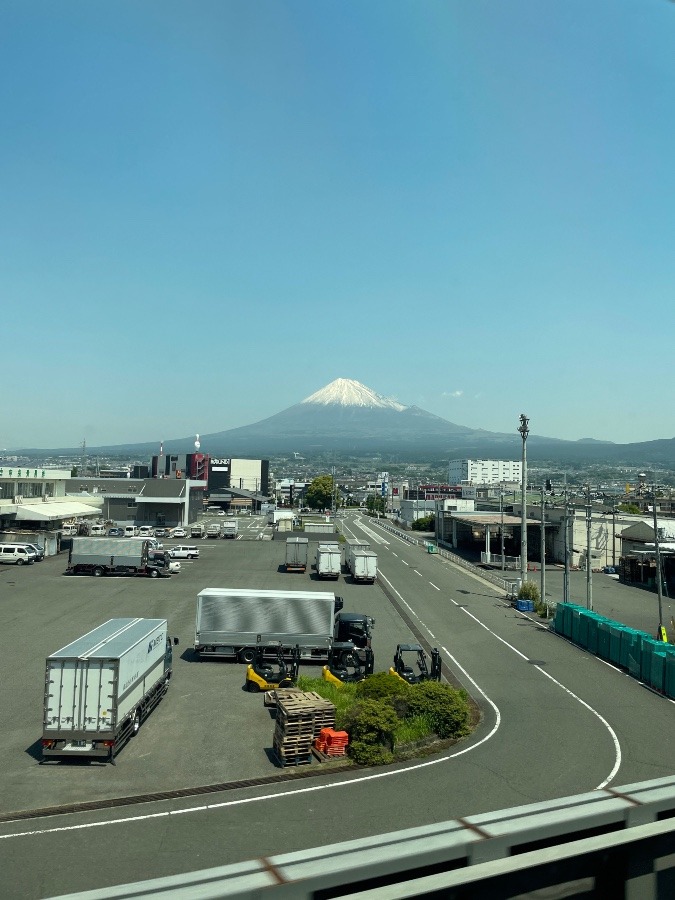 やっと見れた！