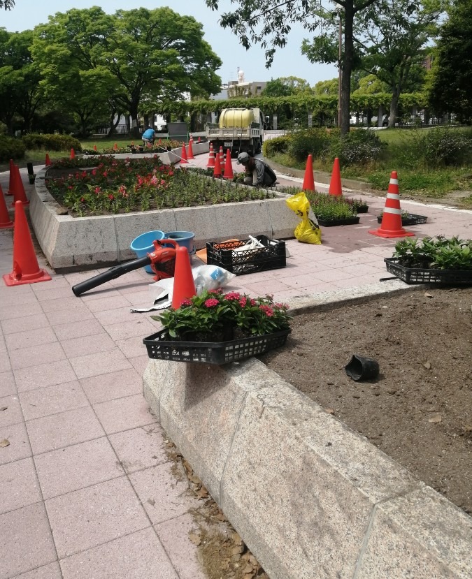 公園の花壇－植え付け