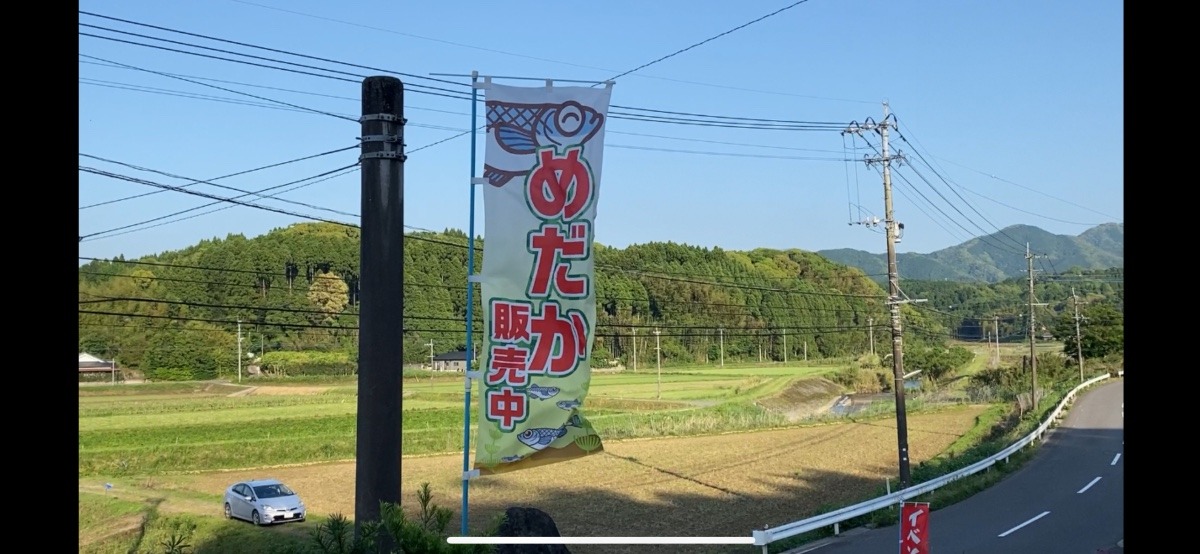 メダカのイベントしました。