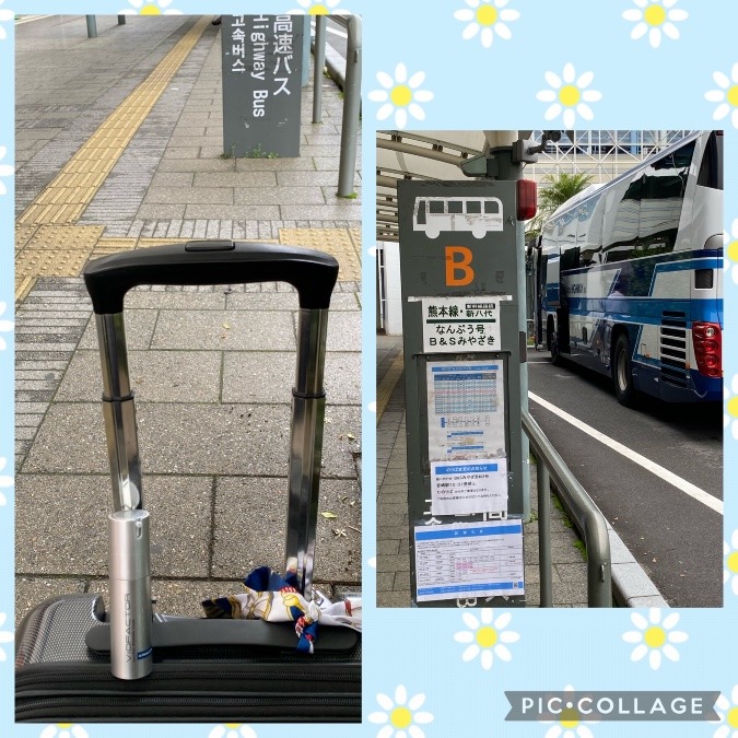 🌸アイロニングと旅をする🌸