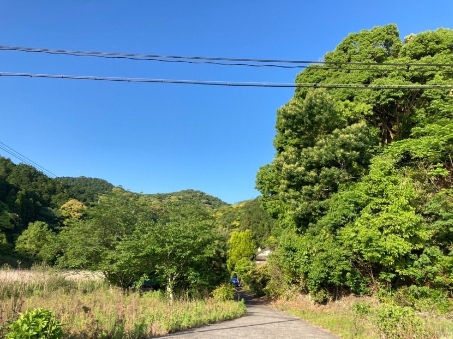 快晴の空