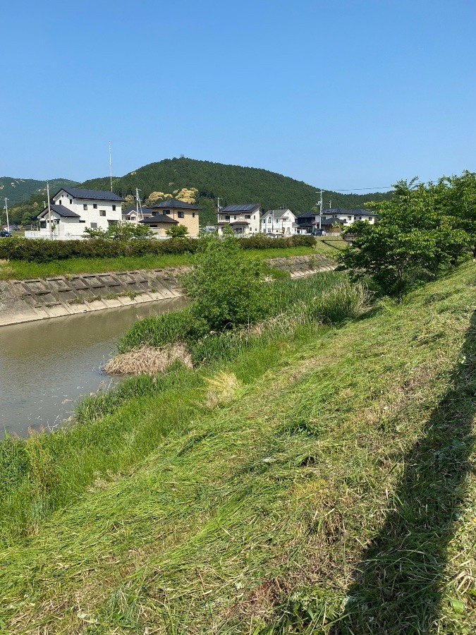 地域の奉仕作業‼️