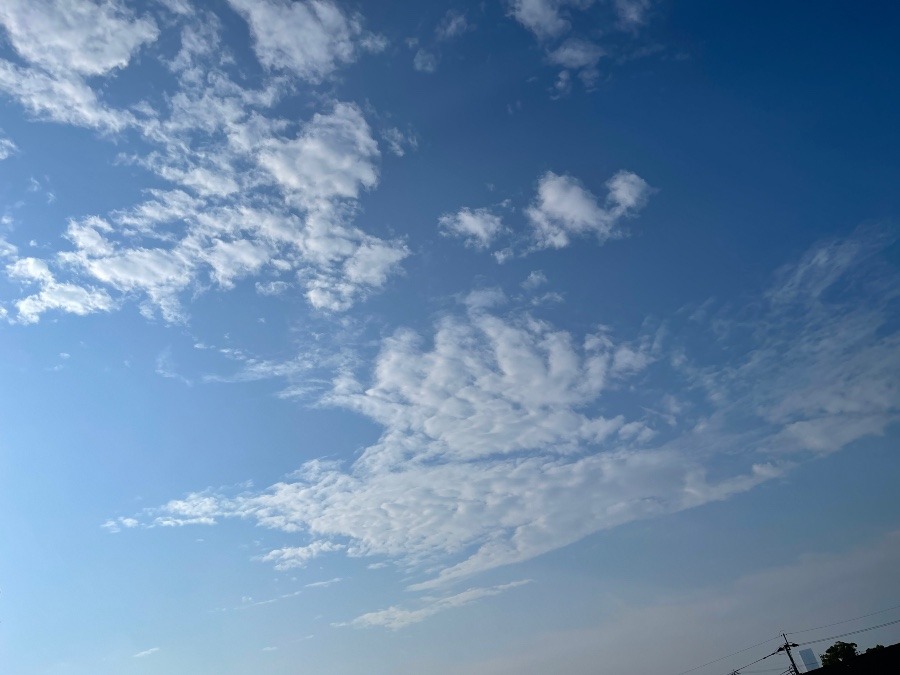 2022/5/25 朝の空