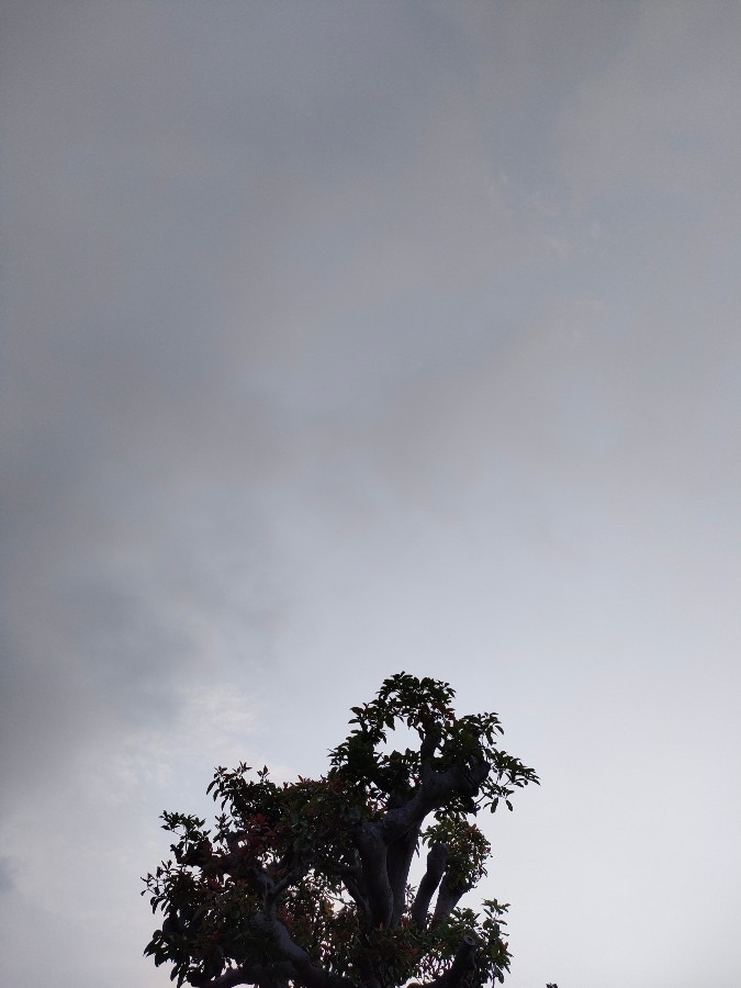 5/25　6時の空