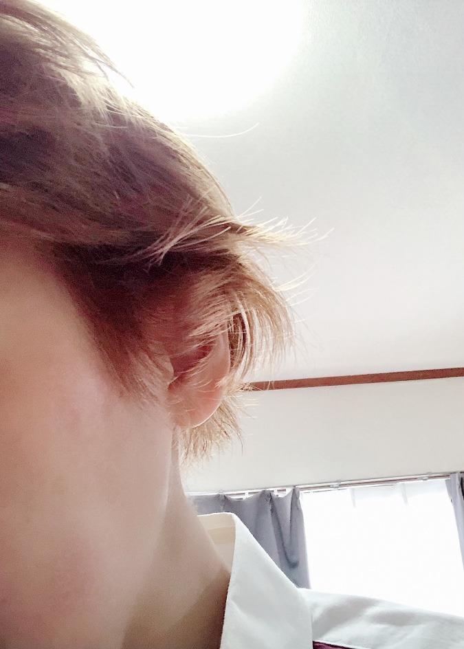 本日の