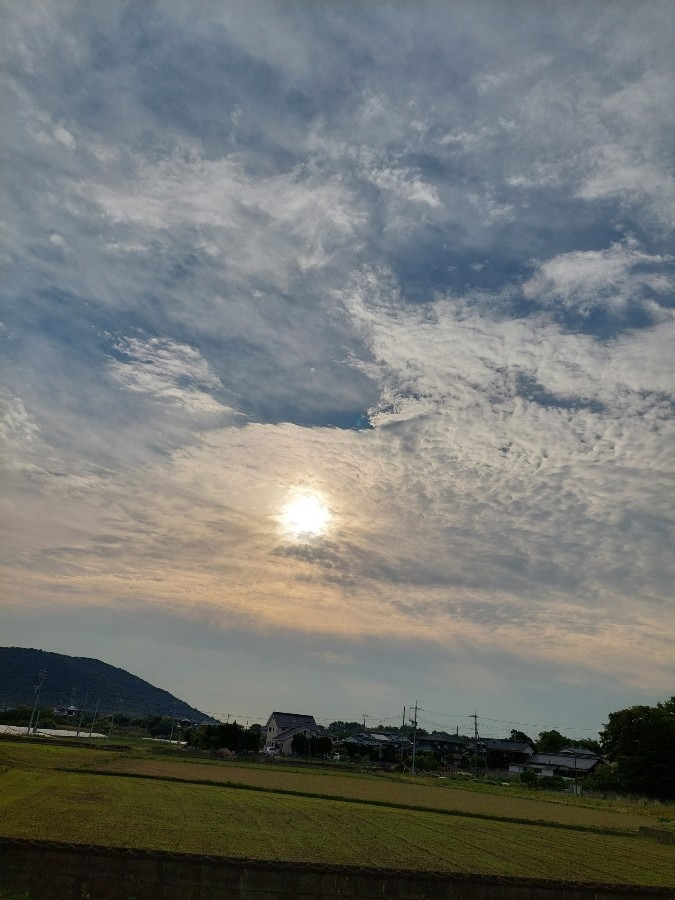 5/17朝の空