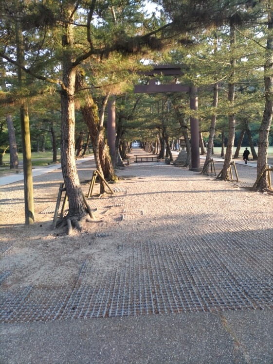 出雲大社　参道