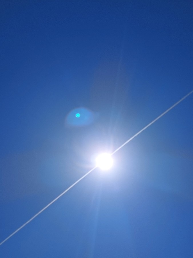 太陽と飛行機雲