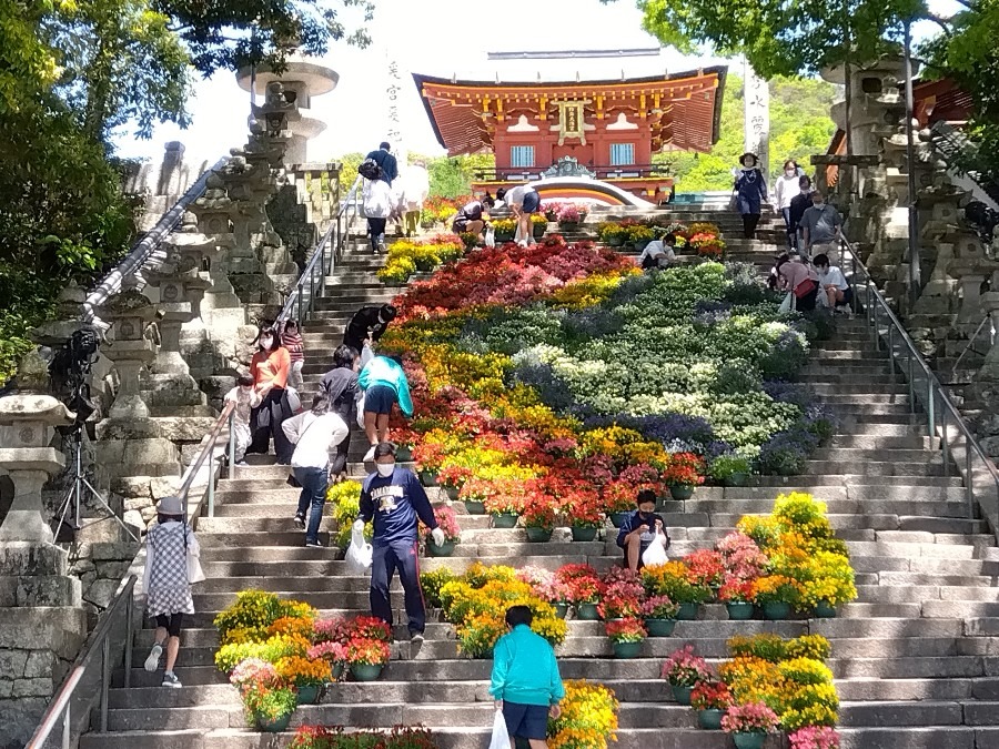 防府天満宮〜大石段花回廊🏵️１