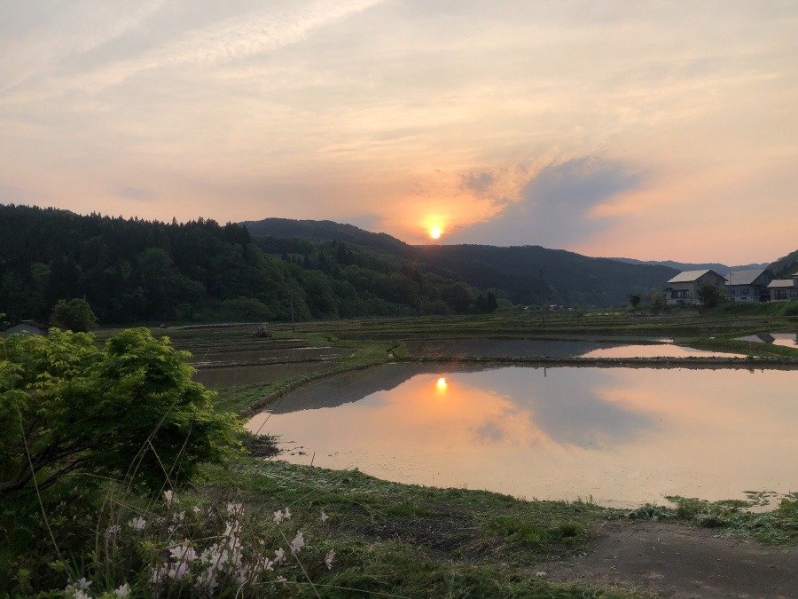 今日の夕陽