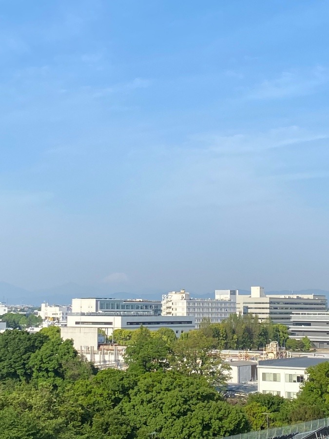 今朝の富士山