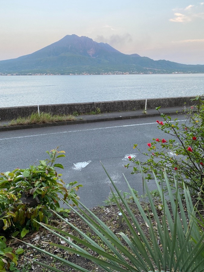 アイロニングクリームある風景