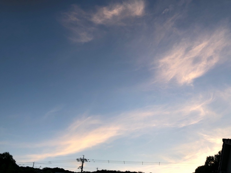 5/31 19:15の空