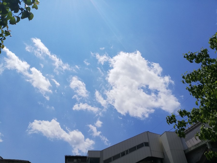 青空☀️