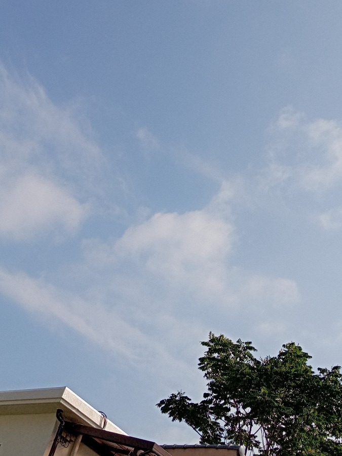 現在の空☀️　８:20