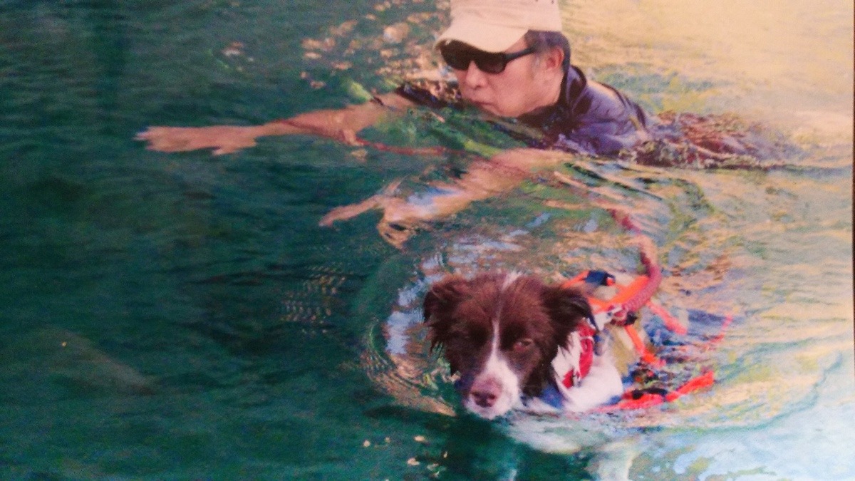 お父ちゃん水泳教室🏊‍♂️