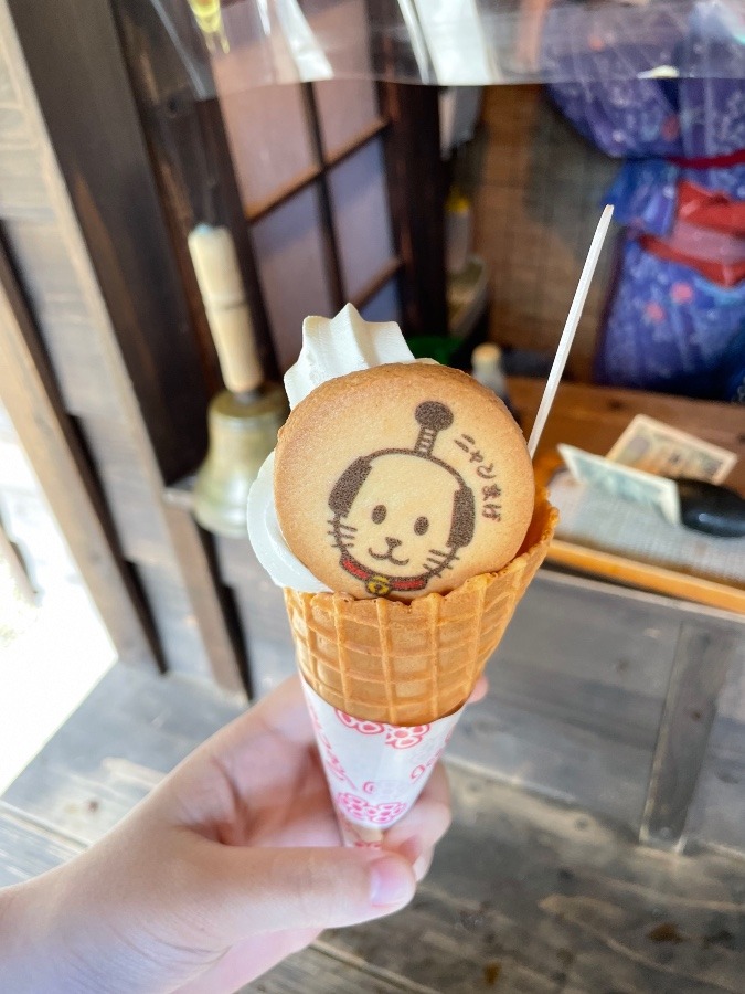 にゃんまげソフト🍦