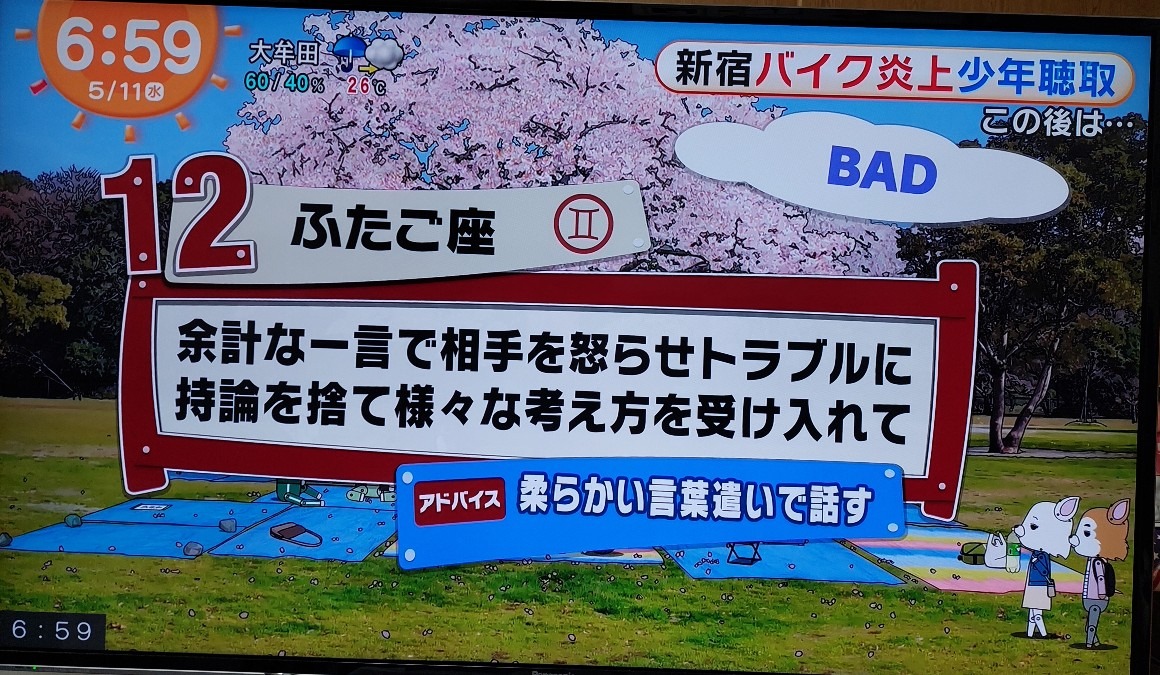 5/11今日の運勢12位ふたご座♊