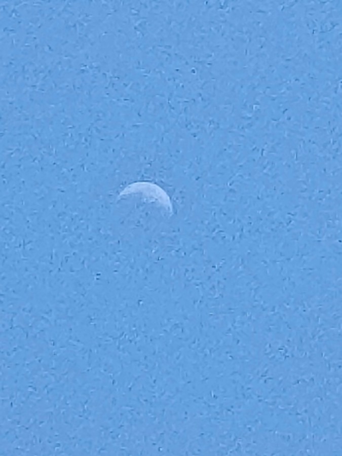 5/7　15時の空に三日月🌙