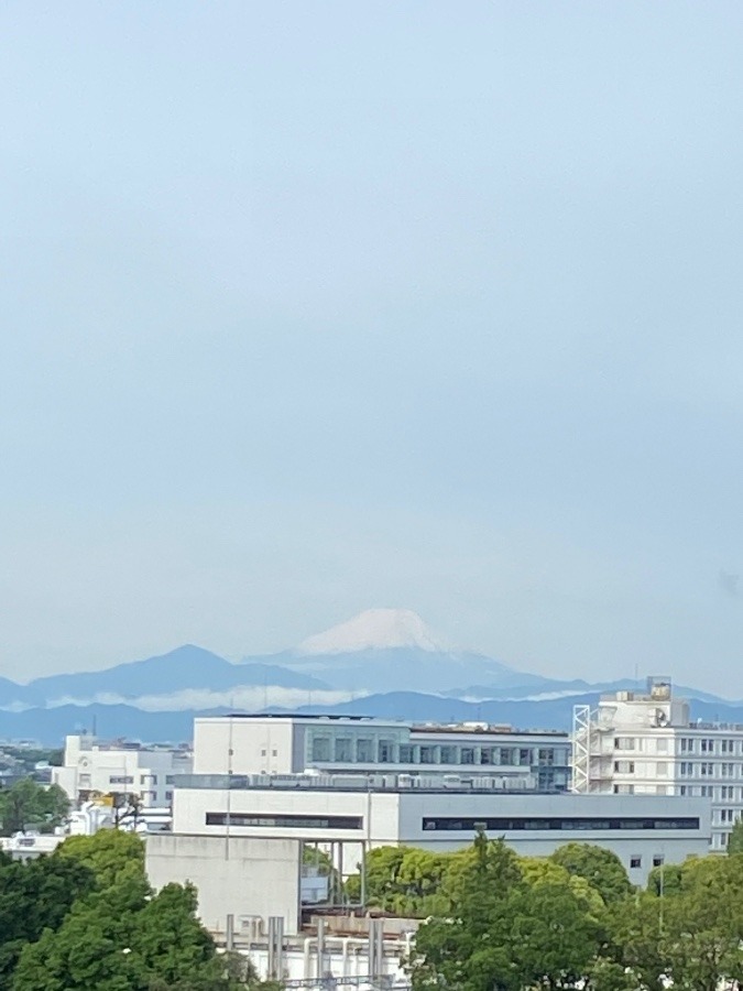 今朝の富士山