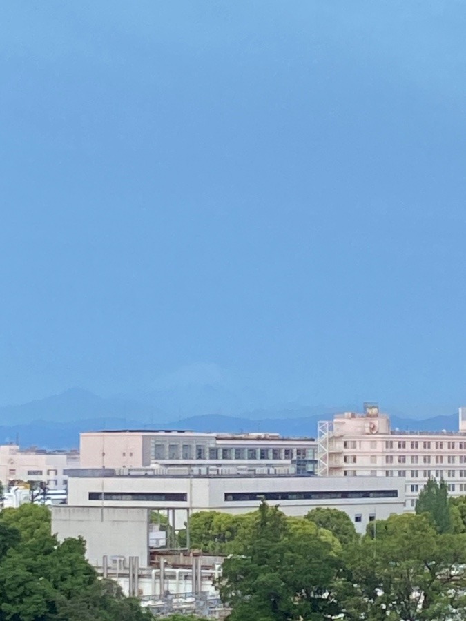 今朝の富士山