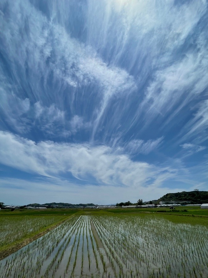 ワクワクする〜