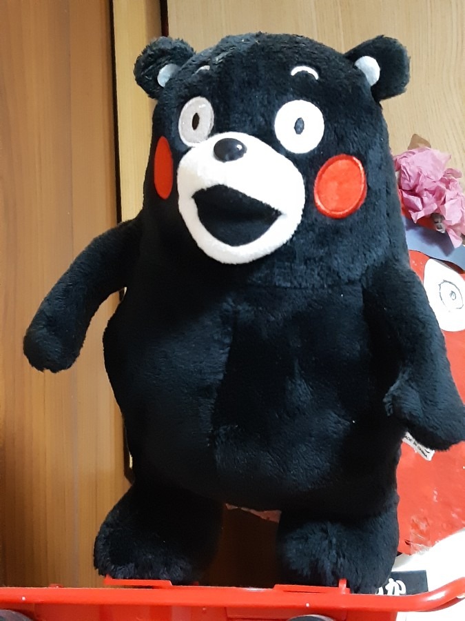 くまもん
