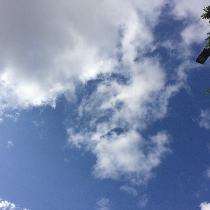 今日の空 (5/27 日中)