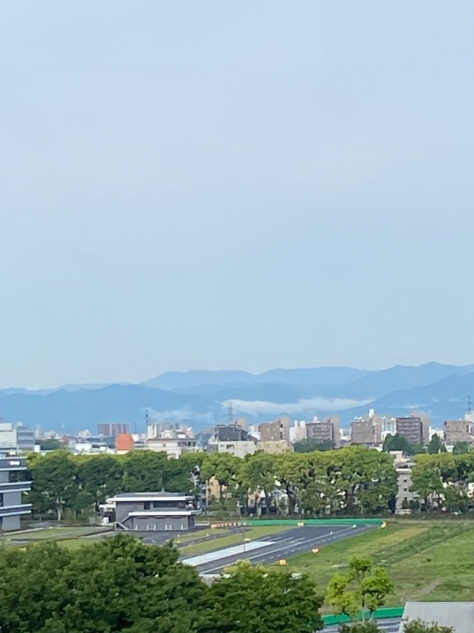 新緑とたなびく雲