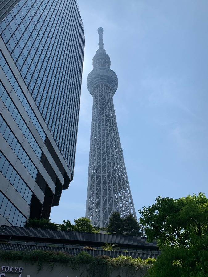 東京スカイツリー