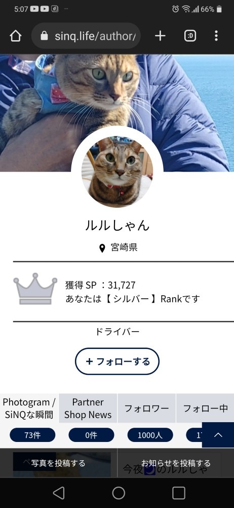 ルルしゃん♪🐱1000人達成❕🏁